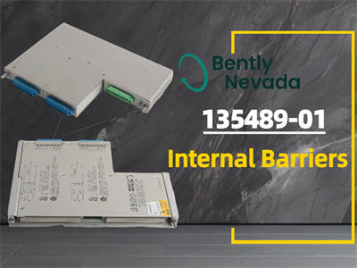 هر آنچه که باید در مورد موانع داخلی Bently Nevada 135489-01 بدانید